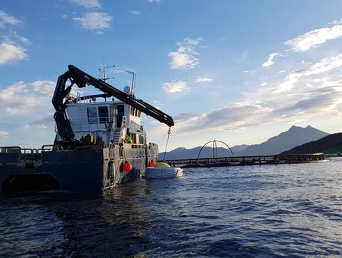 Båt jobber ved fiskeoppdrett